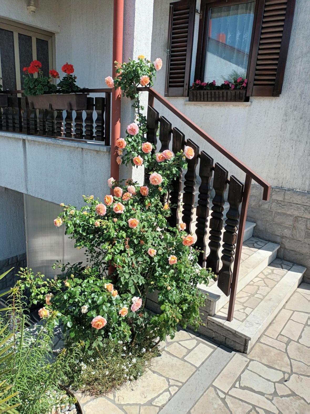 Apartments Peric Opatija Exterior foto